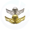brazo dorado grande insignia de la policía militar